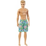 Кен серії "Пляж" Barbie