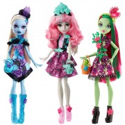 Лялька "Квіткова вечірка" Monster High в ас.(3)