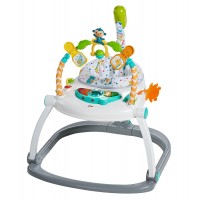 Портативне крісло-стрибунці "Карнавал" Fisher-Price