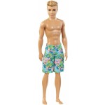 Кен серии "Пляж" Barbie
