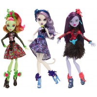 Кукла "Цвет и тьма" Monster High в асс.
